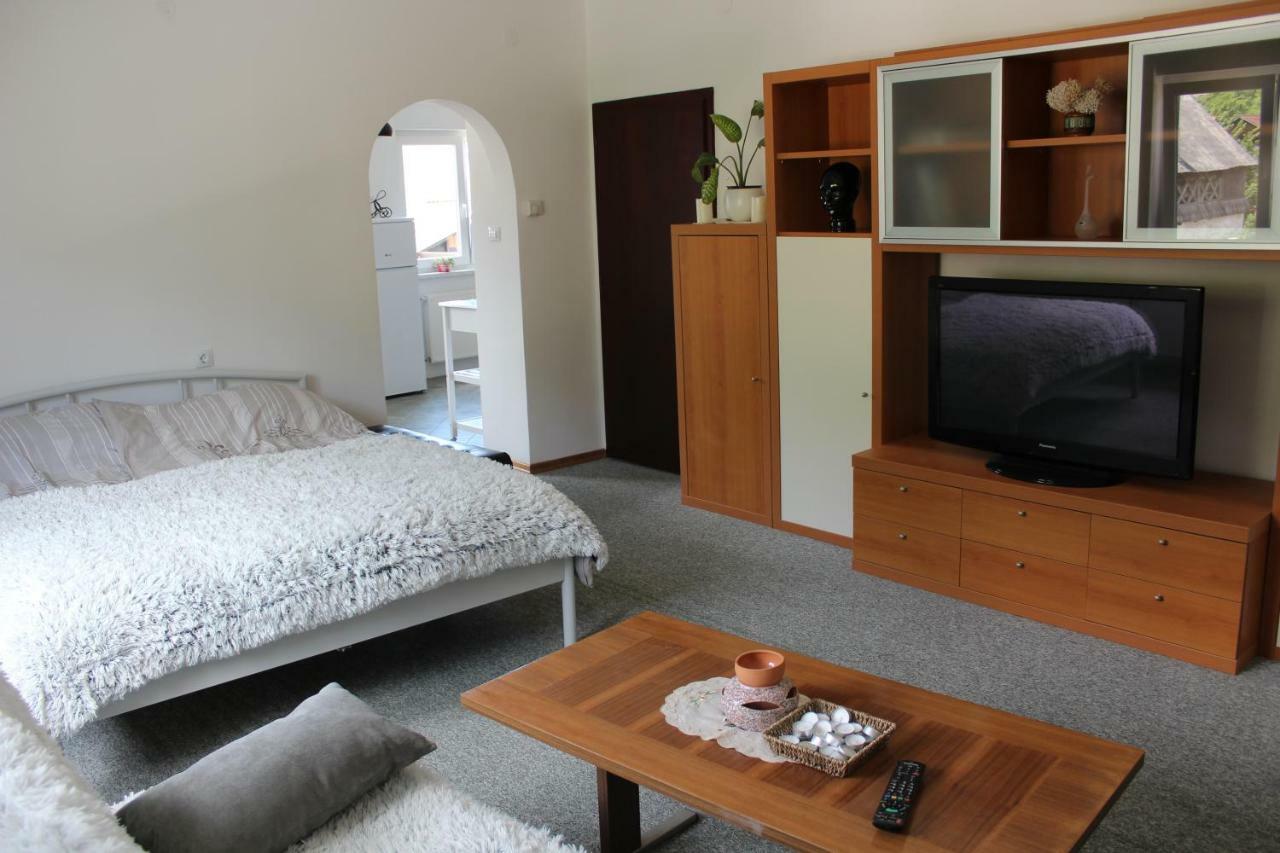 R&G Apartment Zirovnica Exteriér fotografie