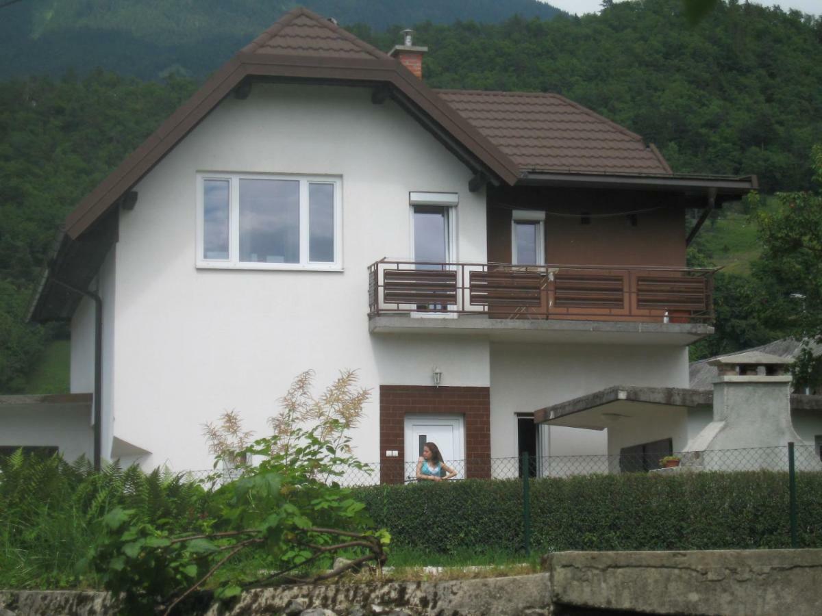 R&G Apartment Zirovnica Exteriér fotografie